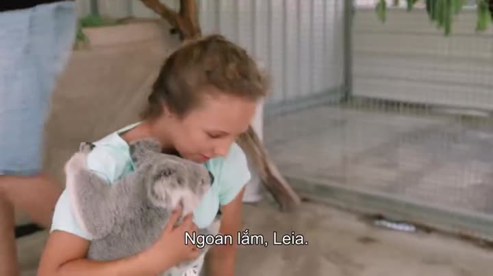 Thế giới gấu túi của Izzy (Phần 1) 9 Tập 7 phim Thế giới gấu túi của Izzy (Phần 1)