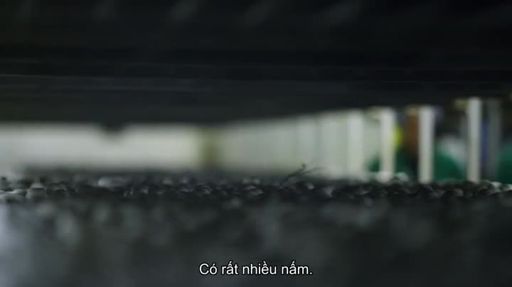 Hình ảnh tập 1 Vào bếp cùng Nadiya