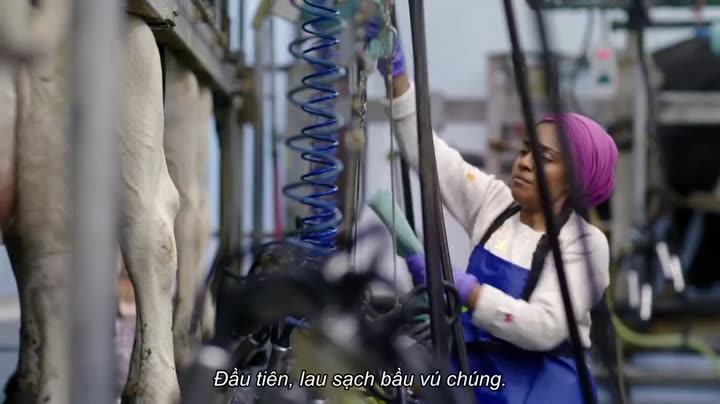 Vào bếp cùng Nadiya 10 Hình ảnh tập 4 Vào bếp cùng Nadiya