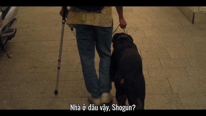 Ma cà rồng 9 Tập 5 phim Ma cà rồng