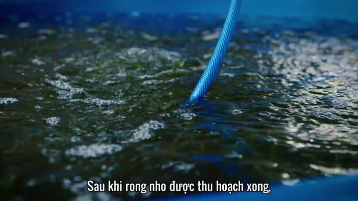 Luke Nguyễn trên chuyến tàu Bắc Nam 10 Hình ảnh tập 3 Luke Nguyễn trên chuyến tàu Bắc Nam
