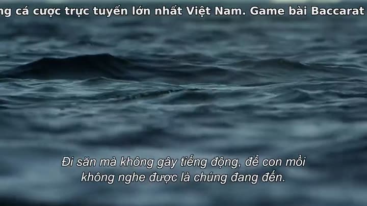 Hành tinh của chúng ta 9 Tập 2 phim Hành tinh của chúng ta