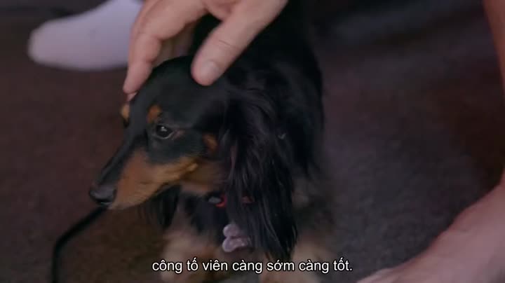Cần tuyển chân dài: Mời gọi 9 Tập 6 phim Cần tuyển chân dài: Mời gọi