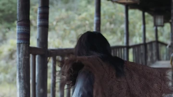 Tương Dạ 9 Tập 50 phim Tương Dạ