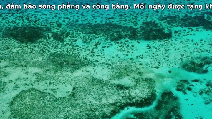 Đại Dương Sâu Thẳm 2 9 Tập 3 phim Đại Dương Sâu Thẳm 2