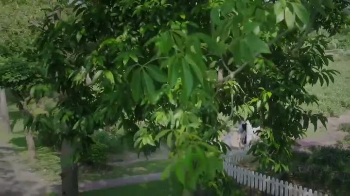 Vua Mạo Hiểm Vệ Tư Lý 9 Tập 27 phim Vua Mạo Hiểm Vệ Tư Lý