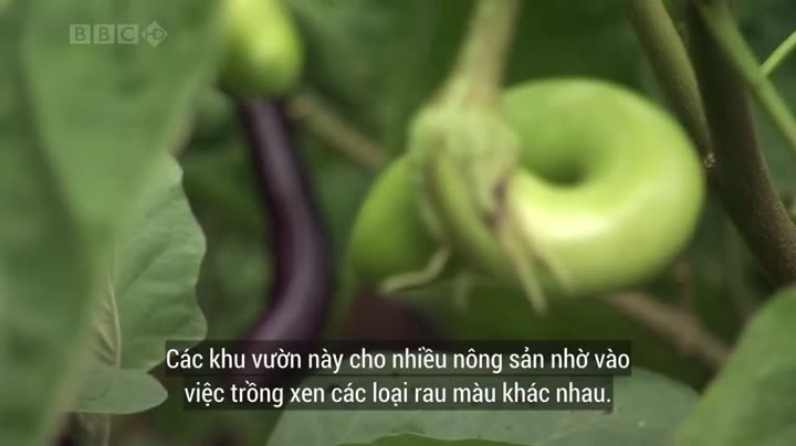 Thiên Nhiên Hoang Dã Trung Quốc 10 Hình ảnh tập 2 Thiên Nhiên Hoang Dã Trung Quốc