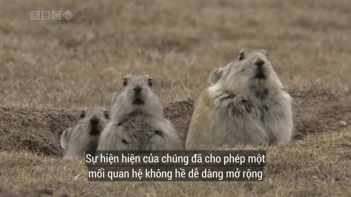 Hình ảnh tập 3 Thiên Nhiên Hoang Dã Trung Quốc