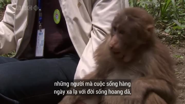 Thiên Nhiên Hoang Dã Trung Quốc 10 Hình ảnh tập 5 Thiên Nhiên Hoang Dã Trung Quốc
