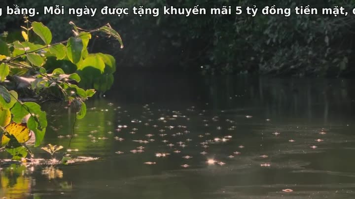 Thiên Nhiên Brazil Hoang Dã 9 Tập 2 phim Thiên Nhiên Brazil Hoang Dã