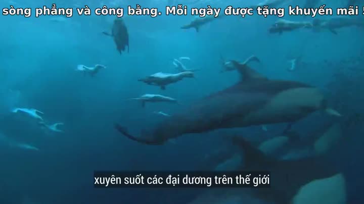 60 Năm Trong Hoang Dã 9 Tập 1 phim 60 Năm Trong Hoang Dã