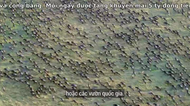 60 Năm Trong Hoang Dã 9 Tập 3 phim 60 Năm Trong Hoang Dã