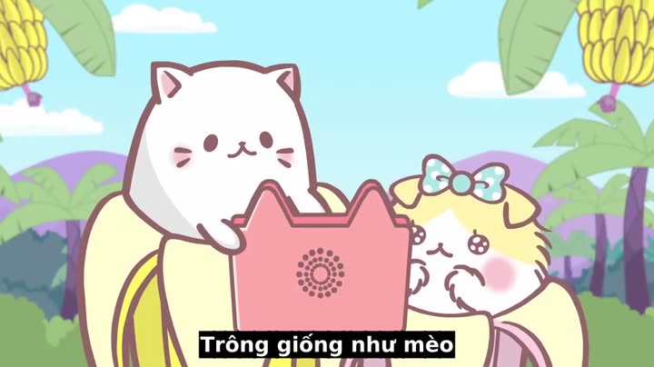 Mèo Chuối Tiêu Người Bạn Kì Diệu 9 Tập 8 phim Mèo Chuối Tiêu Người Bạn Kì Diệu