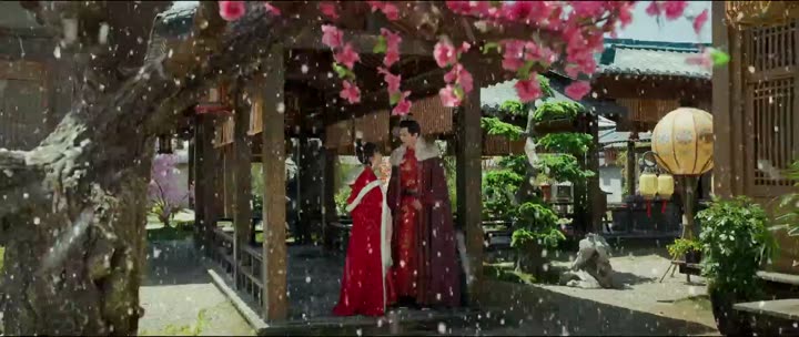 Lòng Quân Không Thể Giấu 9 Tập 19 phim Lòng Quân Không Thể Giấu