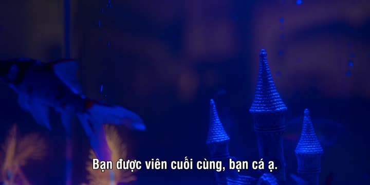 Wolf Like Me (Phần 2) 9 Tập 2 phim Wolf Like Me (Phần 2)