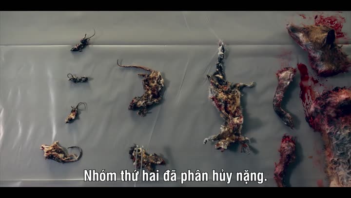 Chuyên Gia Pháp Y (Phần 1) 9 Tập 4 phim Chuyên Gia Pháp Y (Phần 1)