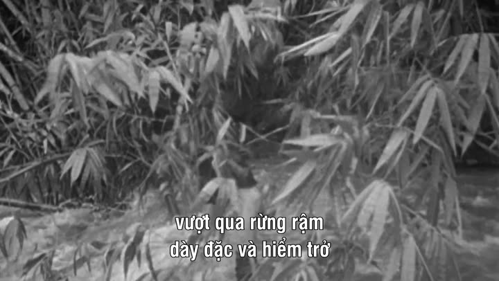 Chiến Tranh Thế Giới 9 Tập 14 phim Chiến Tranh Thế Giới