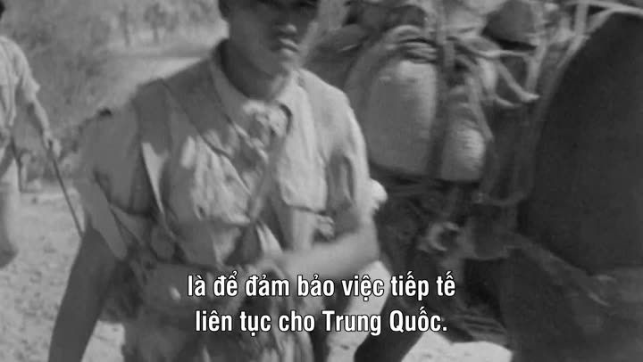 Chiến Tranh Thế Giới 10 Hình ảnh tập 14 Chiến Tranh Thế Giới