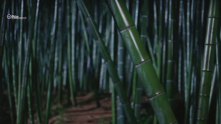 Quân Diện Tự Đào Hoa 10 Hình ảnh tập 10 Quân Diện Tự Đào Hoa