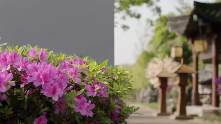 Hình ảnh tập 1 Ngộ Long