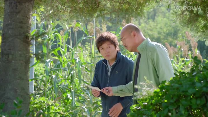 Chúng Ta Hãy Kết Hôn Nhé 10 Hình ảnh tập 1 Chúng Ta Hãy Kết Hôn Nhé