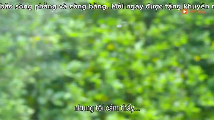 Hoàng Tử Ếch (2021) 9 Tập 29 phim Hoàng Tử Ếch (2021)