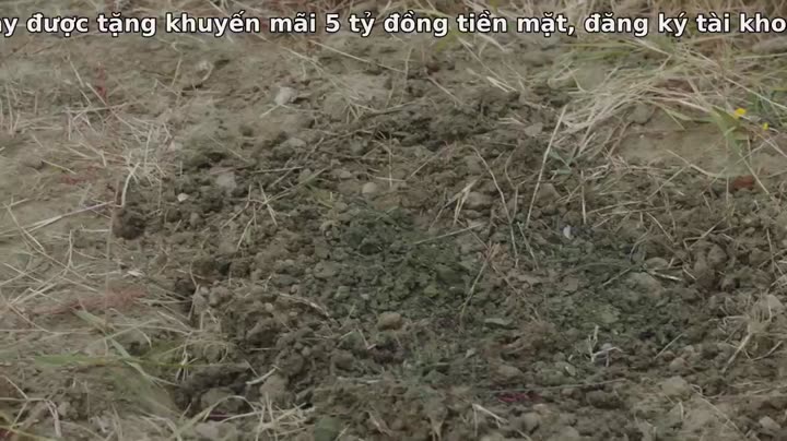Người Vợ Nguy Hiểm Của Tôi 9 Tập 14 phim Người Vợ Nguy Hiểm Của Tôi