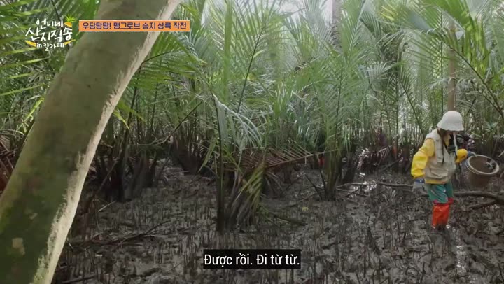 Hương Vị Của Biển (Phần 3) 10 Hình ảnh tập 1 Hương Vị Của Biển (Phần 3)